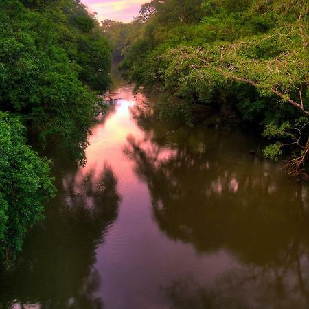 La Selva Biological Station Hotell Sarapiquí Exteriör bild