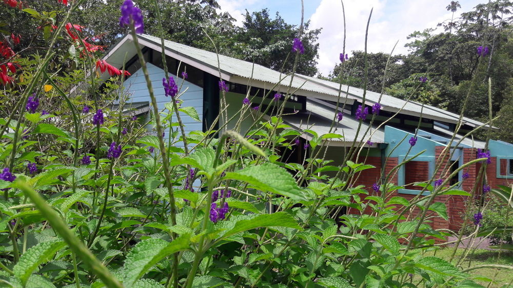 La Selva Biological Station Hotell Sarapiquí Exteriör bild