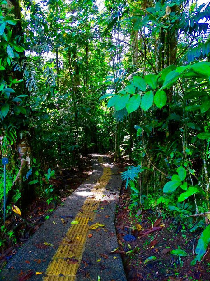 La Selva Biological Station Hotell Sarapiquí Exteriör bild