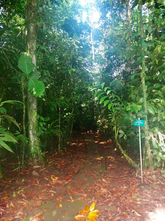 La Selva Biological Station Hotell Sarapiquí Exteriör bild
