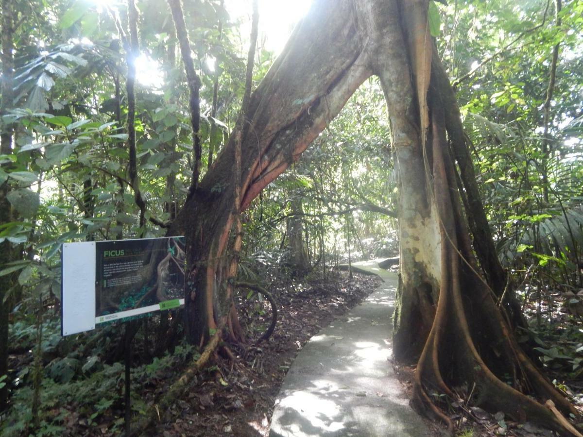 La Selva Biological Station Hotell Sarapiquí Exteriör bild