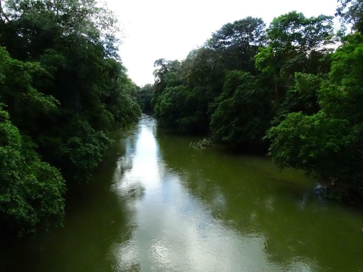 La Selva Biological Station Hotell Sarapiquí Exteriör bild