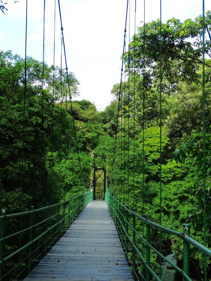 La Selva Biological Station Hotell Sarapiquí Exteriör bild