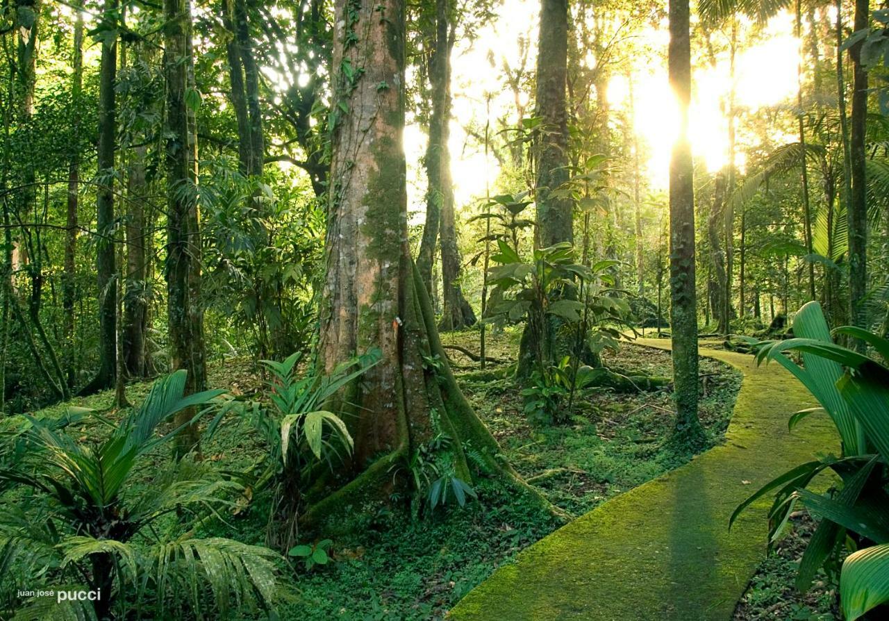 La Selva Biological Station Hotell Sarapiquí Exteriör bild