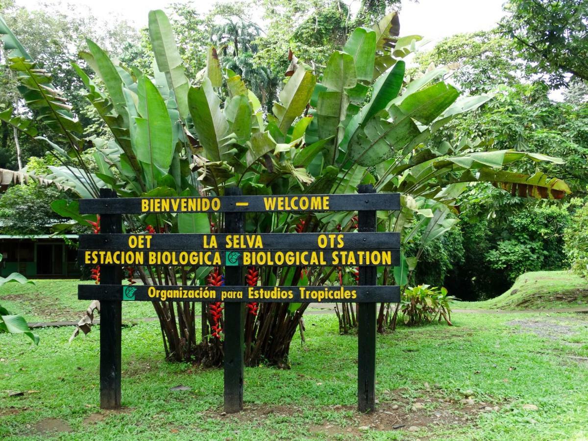 La Selva Biological Station Hotell Sarapiquí Exteriör bild