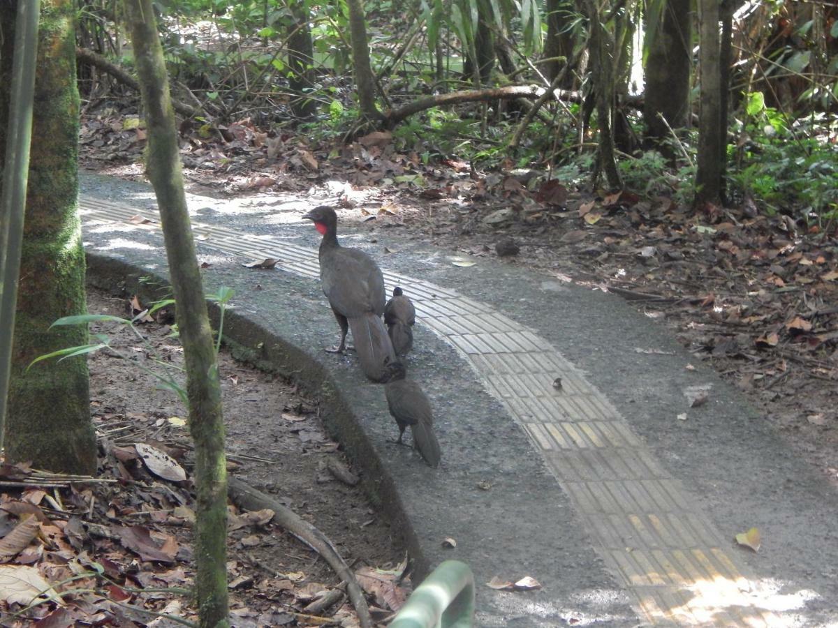 La Selva Biological Station Hotell Sarapiquí Exteriör bild