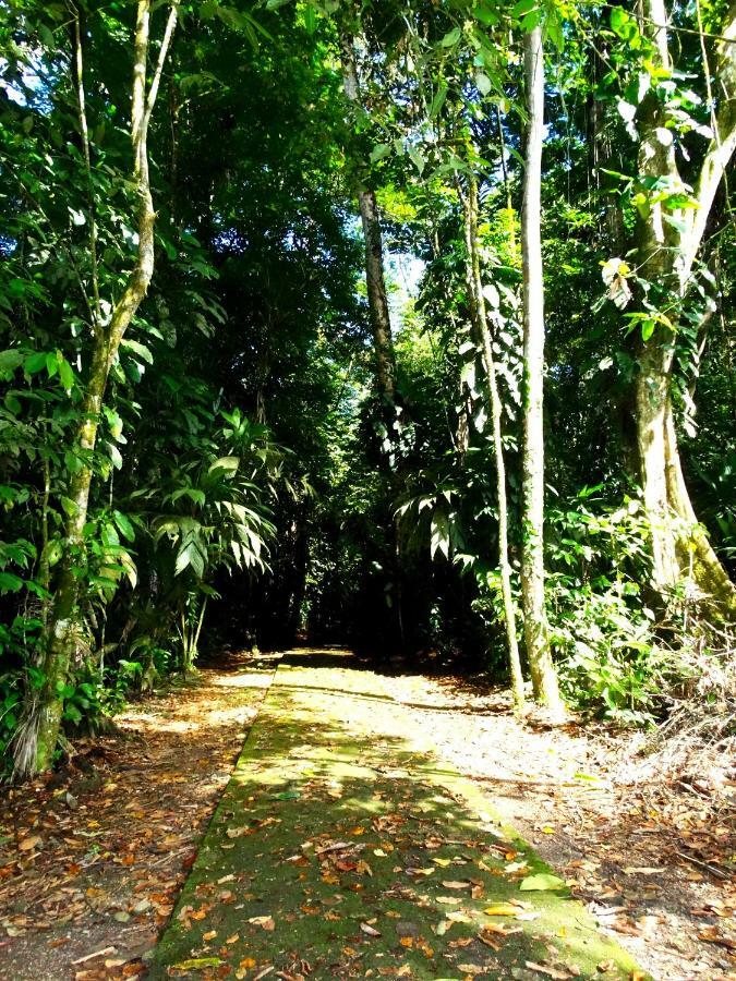 La Selva Biological Station Hotell Sarapiquí Exteriör bild