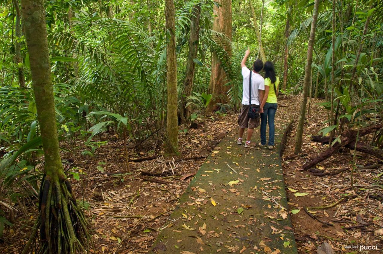 La Selva Biological Station Hotell Sarapiquí Exteriör bild