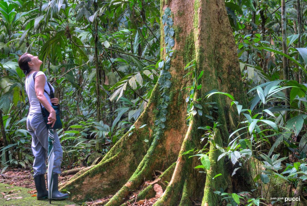 La Selva Biological Station Hotell Sarapiquí Exteriör bild